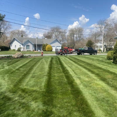 LAWN MOWING